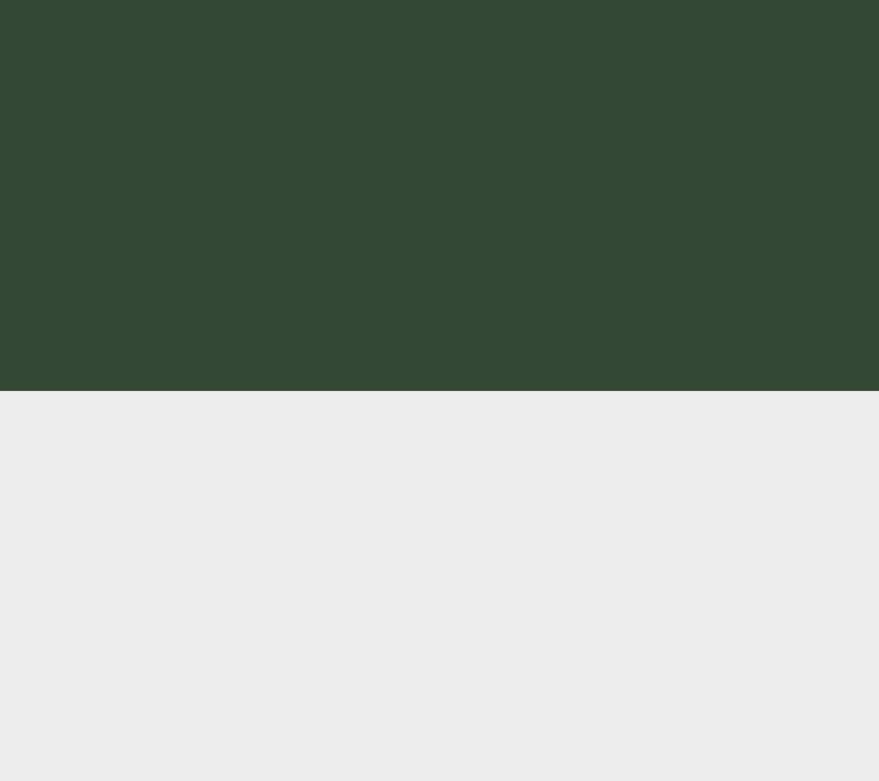 NextWall Tropical Palm Leaf Peel and Stick Wallpaper Roll — View 4
