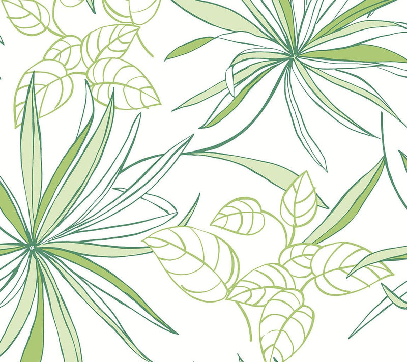 NextWall Spider Plants Peel and Stick WallpaperRoll — View 5