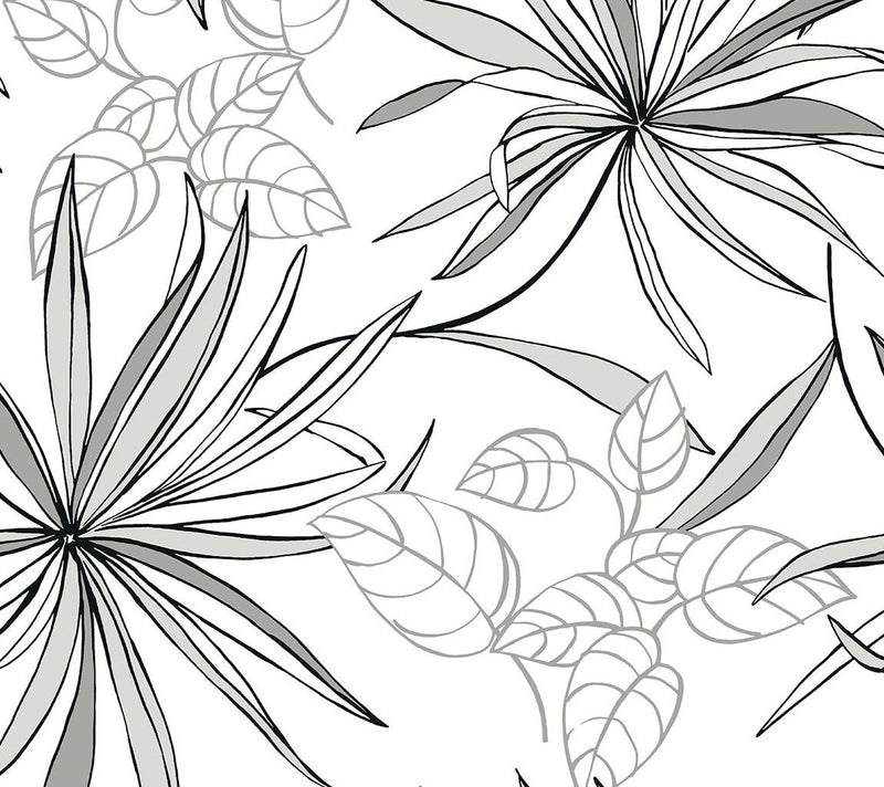 NextWall Spider Plants Peel and Stick WallpaperRoll — Main view