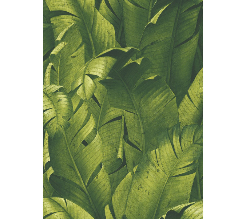 NextWall Tropical Banana Leaves Peel and StickWallpaper Roll — Main view