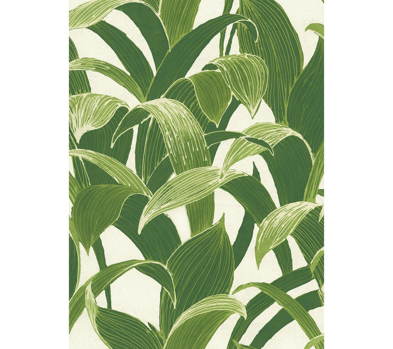 NextWall Banana Groves Peel and Stick WallpaperRoll — Main view