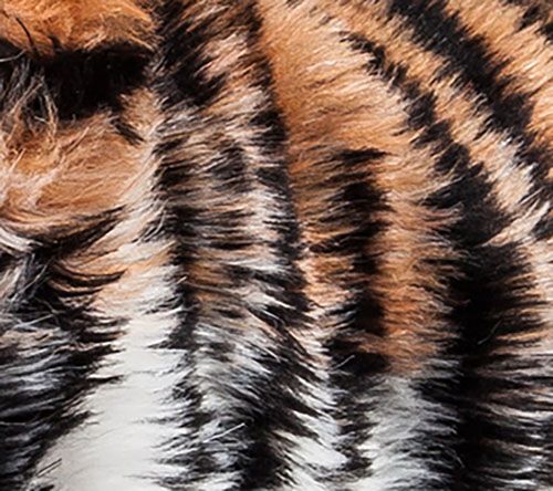 Pet Life Luxe 'Tigerbone' Tiger Patterned Fur Dog Coat Jacket — View 2
