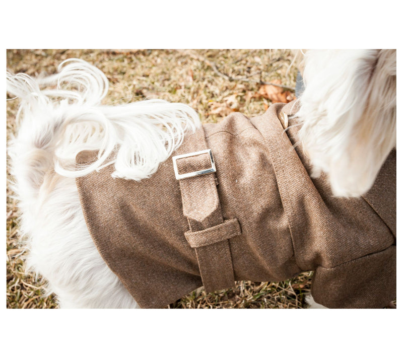 Pet Life Galore Back-Buckled Fashion Cotton Pet Coat — View 7