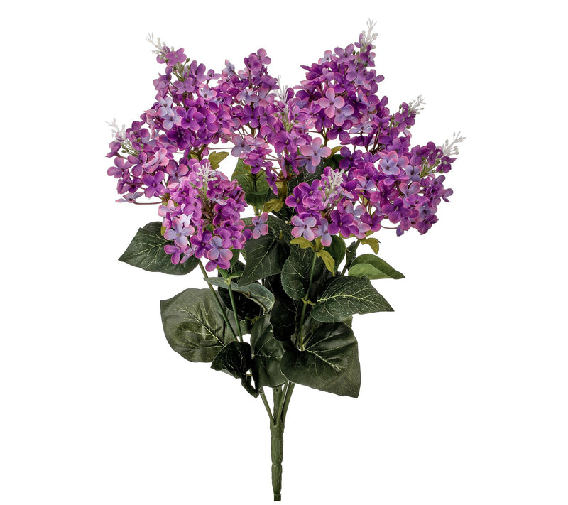 Lilac Bush 21" by Valerie — View 5