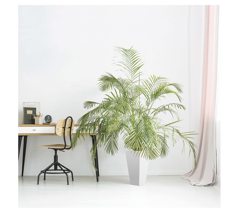 Bloem Finley Tall Tapered Square Planter 20" — View 11