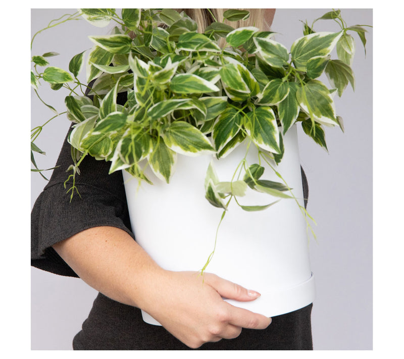 Bloem Mathers Round Planter W/ Saucer Tray: 10" — View 11