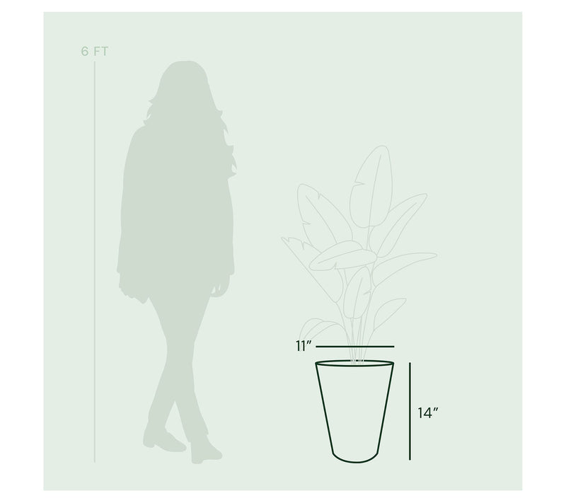 Bloem Tall Finley Tapered Round Planter: 14" — View 9