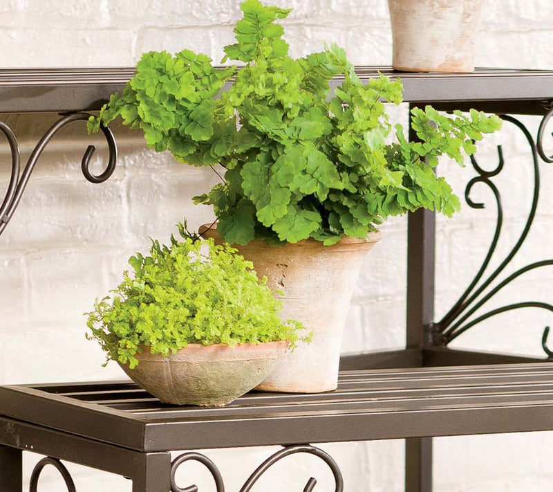 Evergreen Nesti ng Metal Plant Stands with Scr ollwork, Set of — View 9