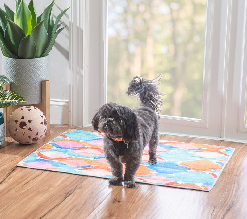 Linon Home Decor Conway 2' X 3' Indoor/Outdoor Washable Rug — View 6