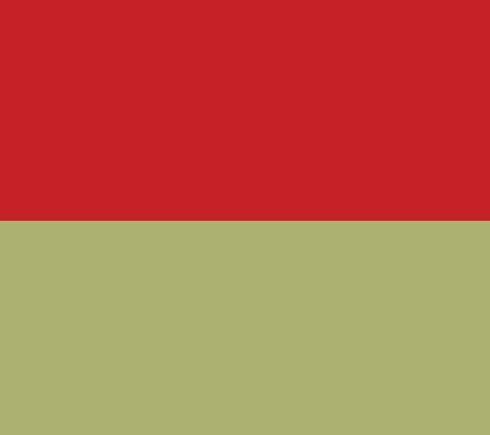 Courtside Market Poinsettia 16x16 Canvas Wall A rt — View 2