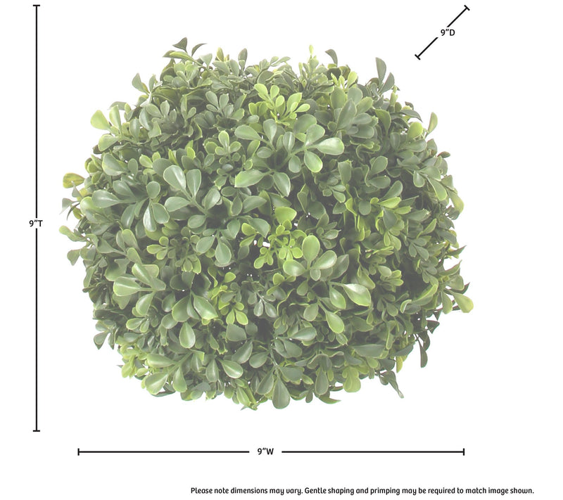 Uv Proof English Boxwood Ball 9" by Valerie — View 5