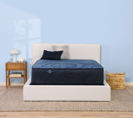 Serta Perfect Sleep Euphoric Nights 14" HybdPlu sh Mattress-CK