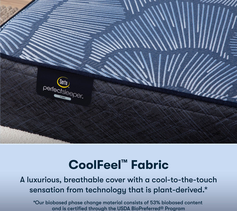 Serta Perfect Sleep Euphoric Nights 14" HybdPlu sh Mattress-CK — View 7
