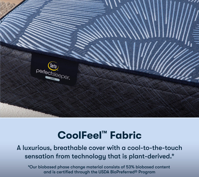 Serta Perfect Sleep Euphoric Nights 14" HybdPlu sh Mattress-Qu — View 7