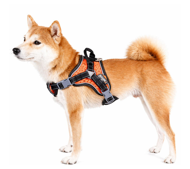 Dog Helios 'Scorpion' Sporty High-Performance Dog Harness — View 5