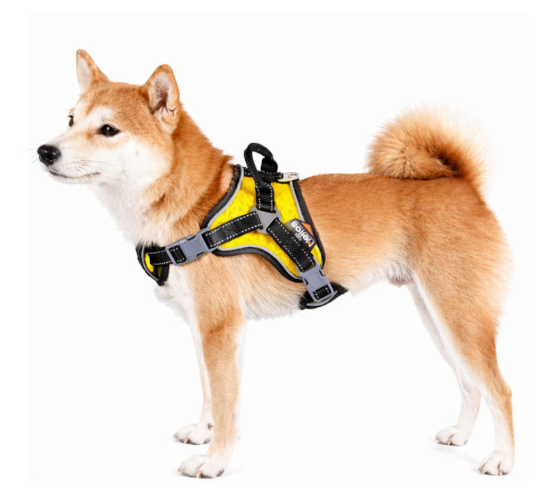 Dog Helios 'Scorpion' Sporty High-Performance Dog Harness — View 7