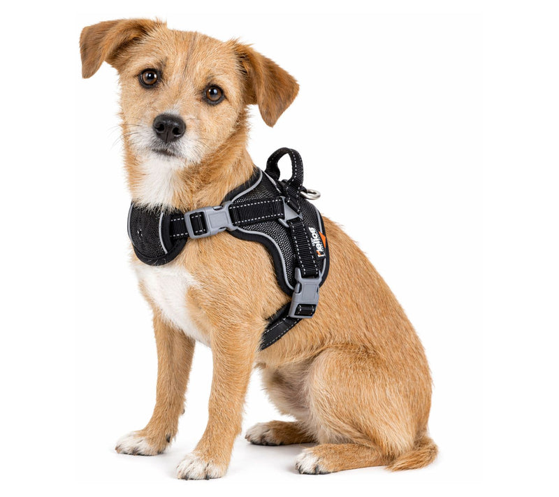 Dog Helios 'Scorpion' Sporty High-Performance Dog Harness — View 12