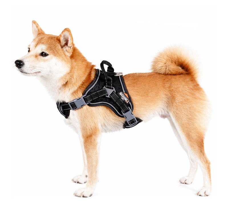 Dog Helios 'Scorpion' Sporty High-Performance Dog Harness — Main view