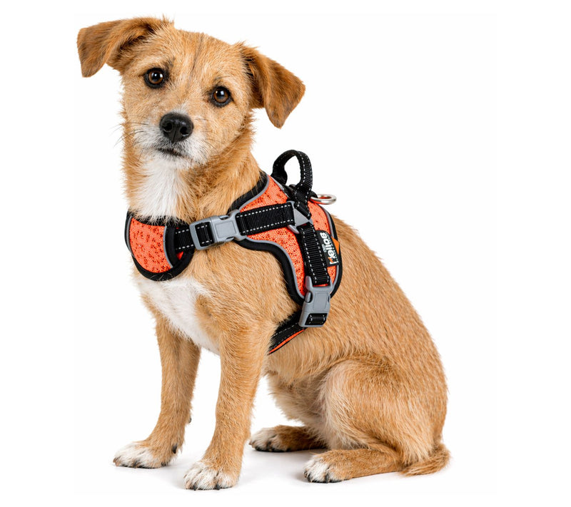 Dog Helios 'Scorpion' Sporty High-Performance Dog Harness — View 13