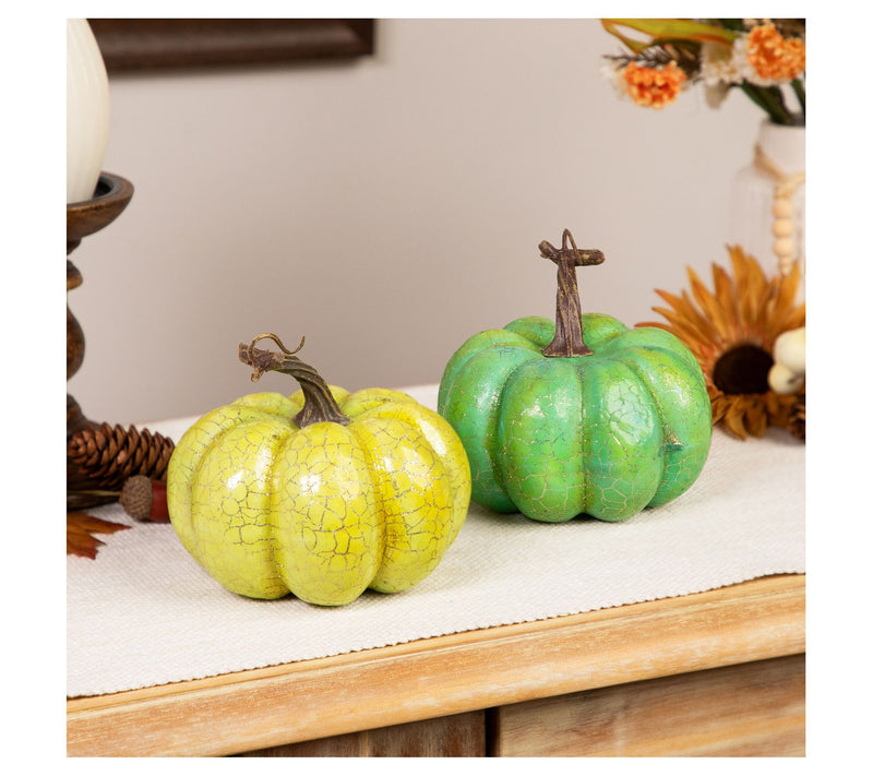 Northlight S/2 Crackle Harvest Tabletop Thanksg iving Pumpkins — View 7