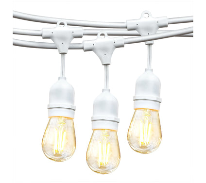 Brightech Ambie nce Pro LED 2W S14 48 Ft Strin g Lights White