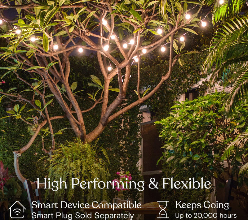 Brightech Glow LED 1W Retro Globe G40 2700K 28Ft String Lights — View 8