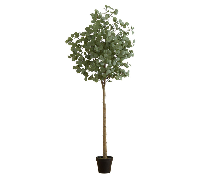 Nearly Natural 7-ft Artificial Eucalyptus Tree — Main view