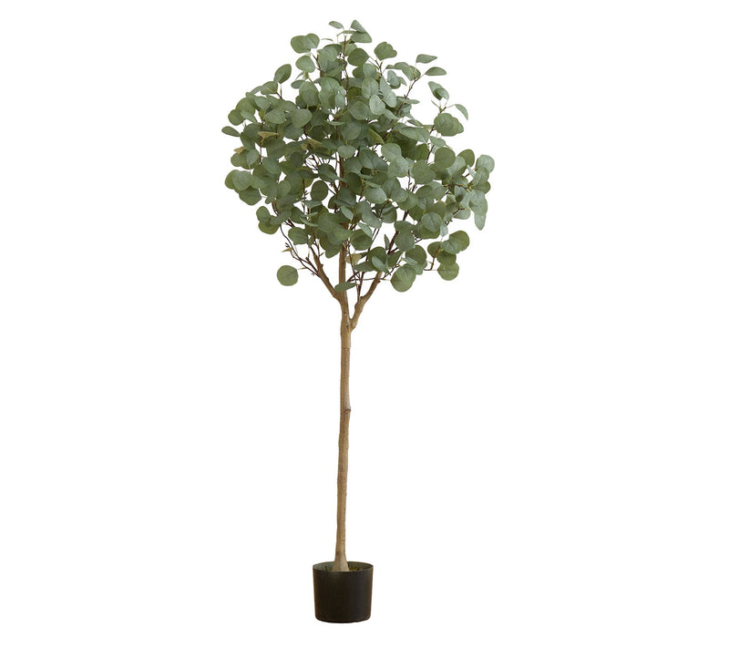 Nearly Natural 5' Artificial Eucalyptus Tree — Main view