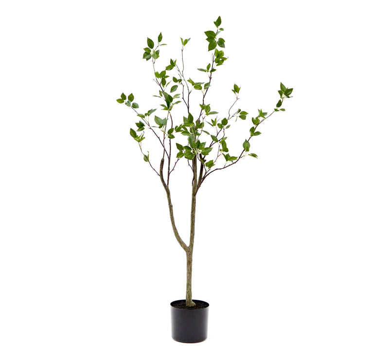 Nearly Natural 4-ft Minimalist Citrus Artificial Tree — Main view