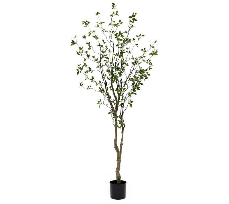 Nearly Natural 8' Minimalist Citrus Artificialee — View 3