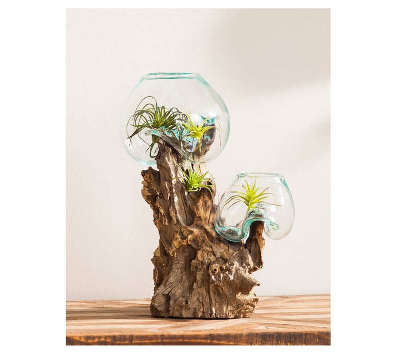 Evergreen Double Glass Planter on Driftwood — View 5