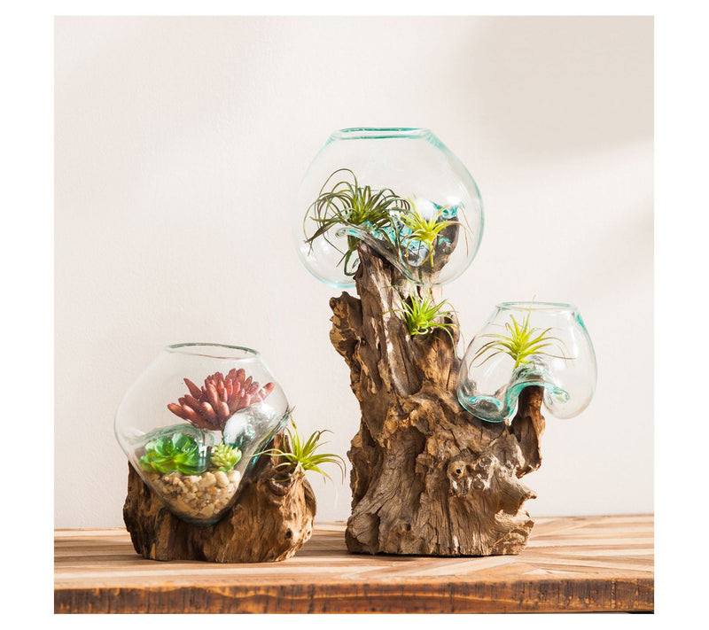 Evergreen Double Glass Planter on Driftwood — View 2