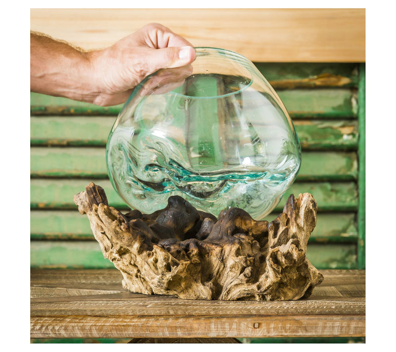 Evergreen Medium Glass Planter on Driftwood — View 3