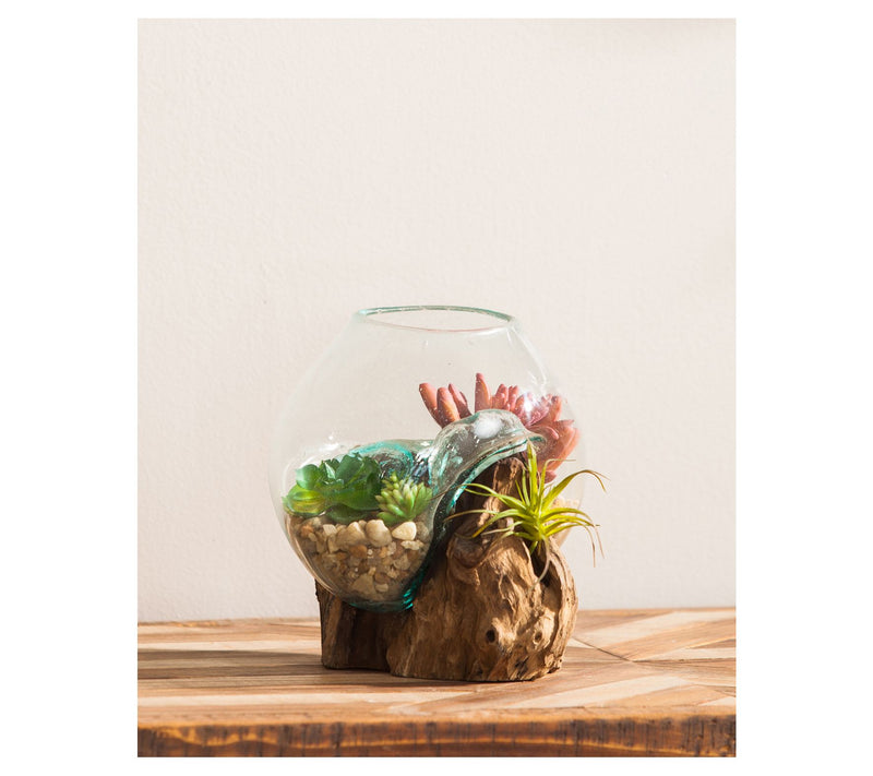 Evergreen Small Glass Planter on Driftwood — View 3