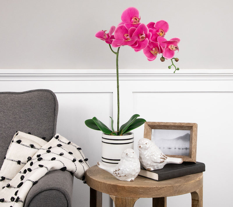 Northlight Real Touch Pink Artificial Orchids in Ceramic Pot — View 3