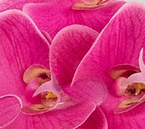 Northlight Real Touch Pink Artificial Orchids in Ceramic Pot — View 2