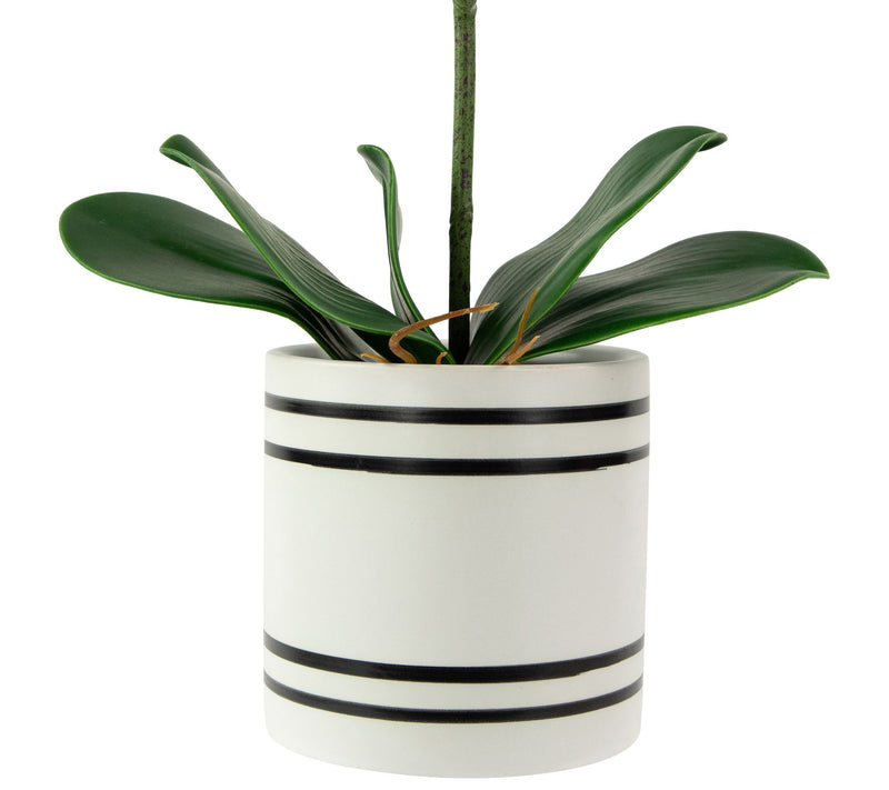 Northlight Real Touch Pink Artificial Orchids in Ceramic Pot — View 6