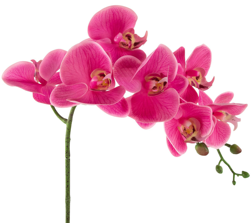 Northlight Real Touch Pink Artificial Orchids in Ceramic Pot — View 4