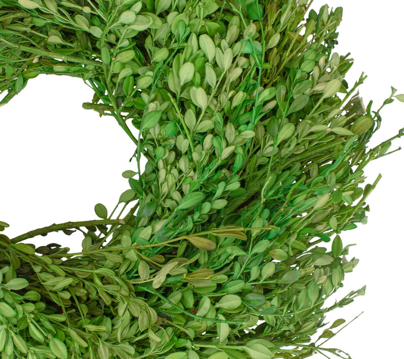 Northlight Green Foliage Artificial Spring Wrea th — View 4