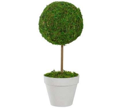 Northlight Reindeer Moss Potted Artificial Spring Topiary Tree