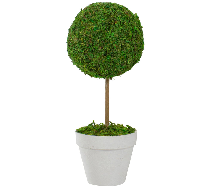 Northlight Reindeer Moss Potted Artificial Spring Topiary Tree — Main view