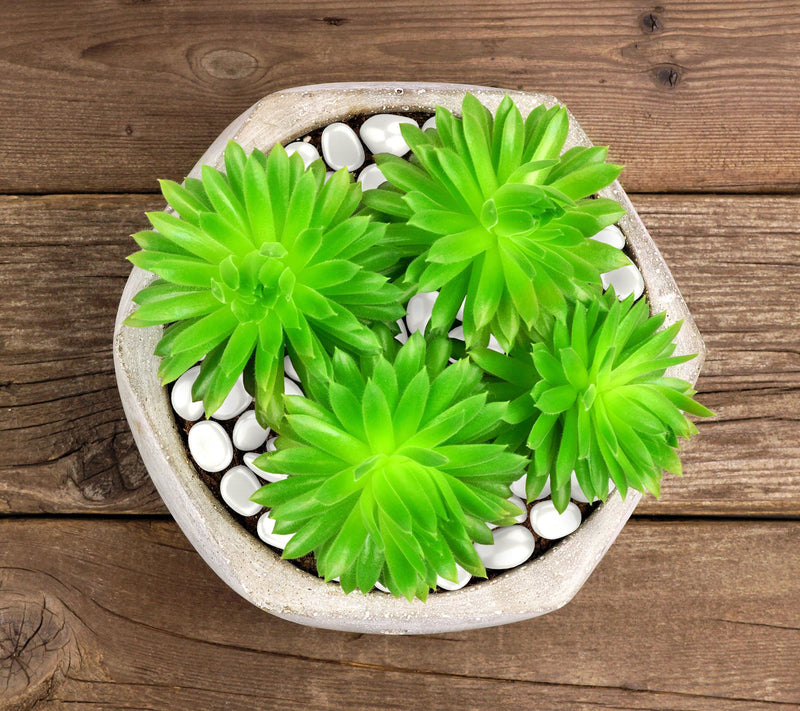 Pure Garden 500 Glow in the Dark Solar PathwayPebbles — View 8