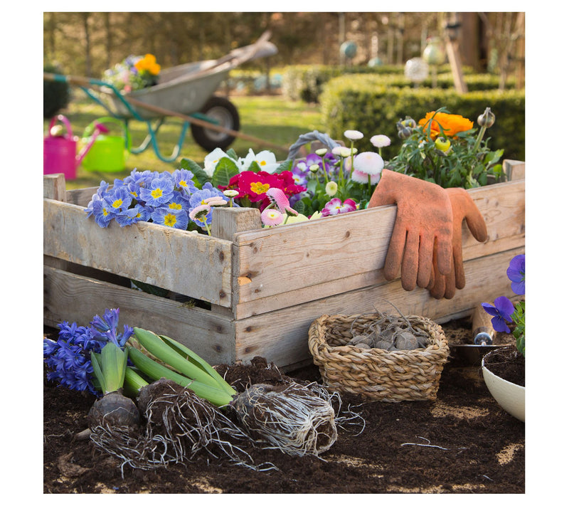 Pure Garden Cart Rolling Stool Gardening Seat — View 4
