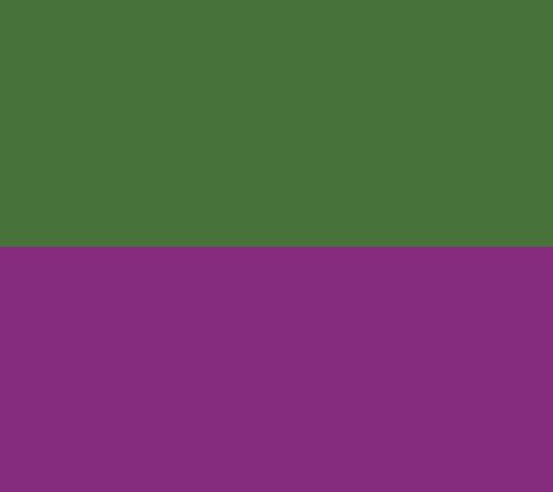 Cottage Farms Royal Razz Butterfly Bush — View 2