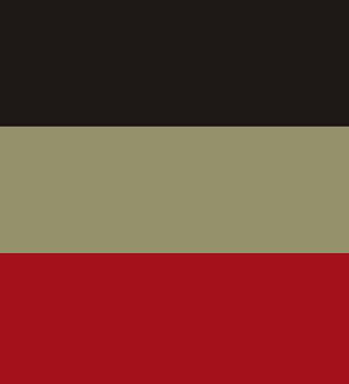 Plow & Hearth Indoor/Outdoor Cardinal Accent Ru g — View 2