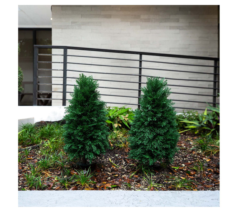 Nearly Natural 30" Faux Cedar Plant UV (Set of 2) — View 4