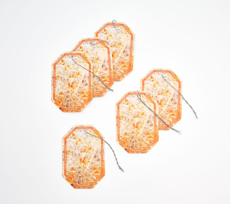 HomeWorx by Slatkin + Co. S/6 Hanging Auto Air Fresheners — View 2