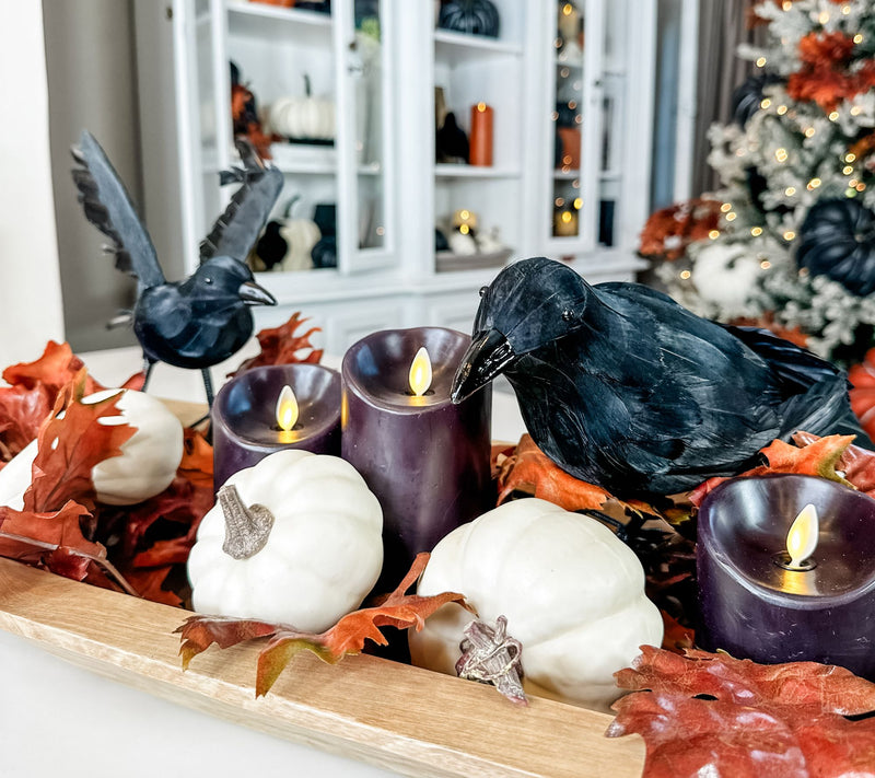 Simply Stunning Set of 4 Decorative Ravens by Janine Graff — View 5