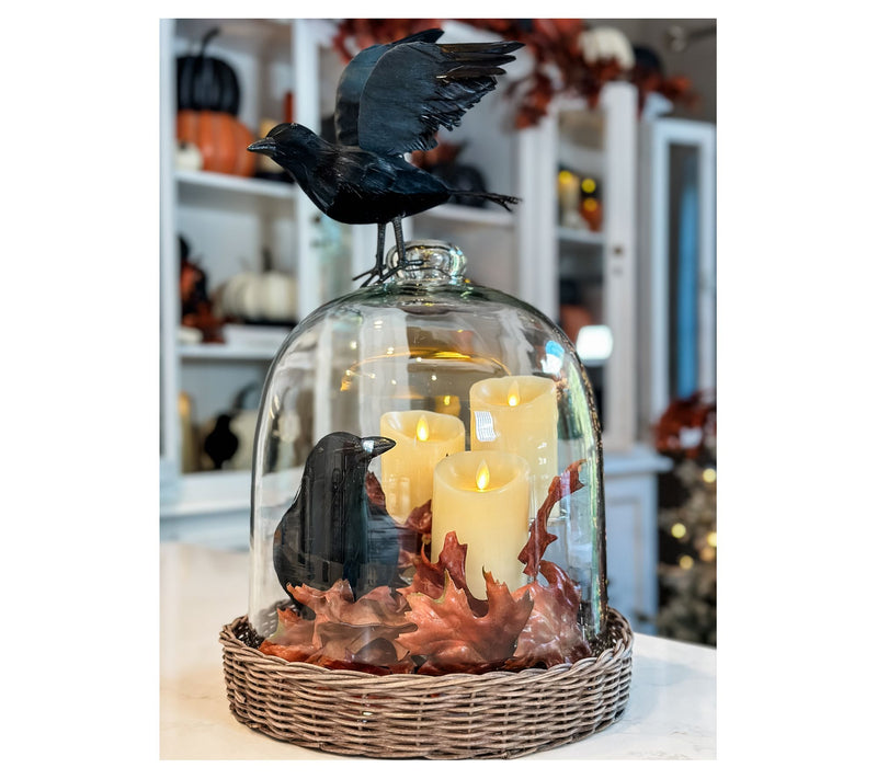Simply Stunning Set of 4 Decorative Ravens by Janine Graff — View 4