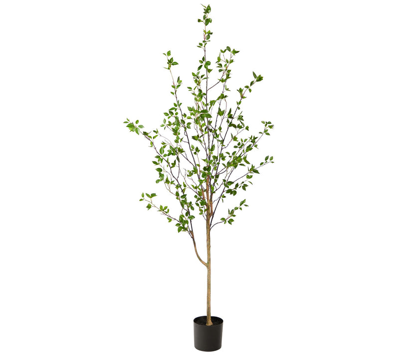 Nearly Natural 6.5' Minimalist Citrus Artificial Tree — Main view